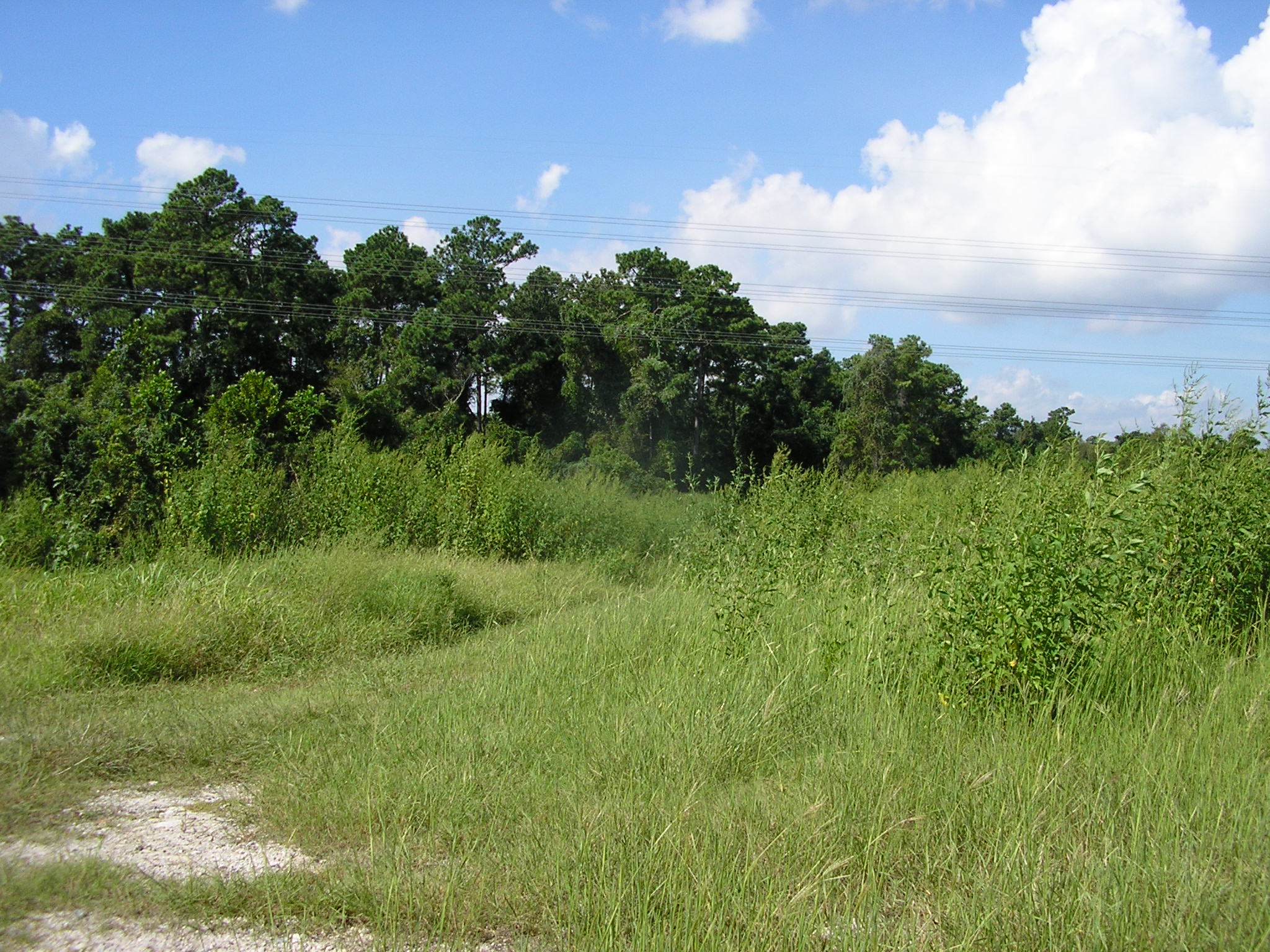 112 +/ Acres on San Jacinto River